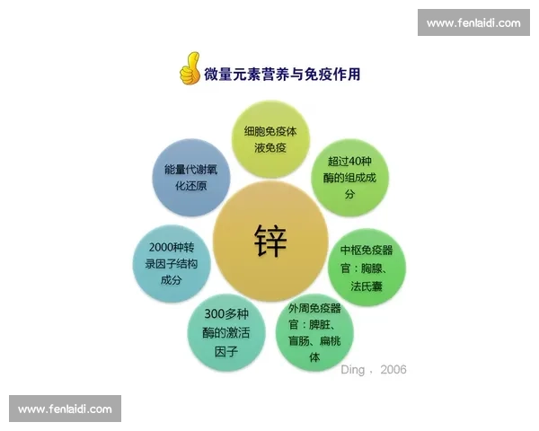 全方位评测市面热门蛋白棒 性能口感全解析 助你选出最适合的营养零食